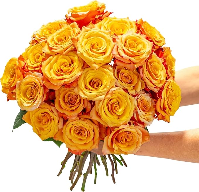 BloomsyBox - Yellow/Orange Roses -24 Long Stems, Hand-Tied in Eco-friendly, Vase Not Included, Fresh Flowers for Delivery – Gift for Birthday, Anniversary, Get Well, Congratulations, Wedding