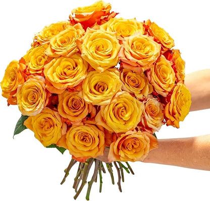 BloomsyBox - Yellow/Orange Roses -24 Long Stems, Hand-Tied in Eco-friendly, Vase Not Included, Fresh Flowers for Delivery – Gift for Birthday, Anniversary, Get Well, Congratulations, Wedding