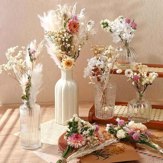 10 Kinds of Dried Flowers for Crafts Green Series Natural Dried Flowers Dry Hydrangea Daisy Babys Breath with Stems Boho Wedding Flower Bouquets with Hemp DIY Floral Arrangement Rope for Home Decor