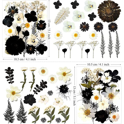 90Pcs Black Pressed Dried Flowers for Resin Molds, Real Natural Bulk Dry Floral Leave for DIY Art Crafts, Epoxy Jewelry, Candle, Soap Making, Nails Decors Gifts