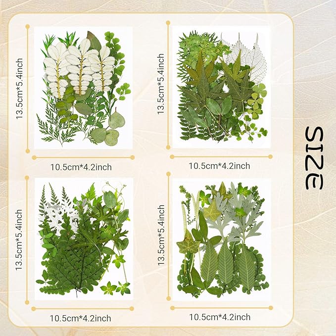 Augshy Pressed Dried Leaves Flowers, 100 Pcs Green Dried Flowers Leaves for Resin Molds Assorted Real Pressed Flowers for Crafts DIY Jewelry Molds, Scrapbooking, Candle