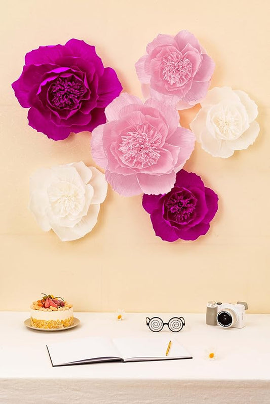 Crepe Paper Flowers Decoration for Wall, Flowers for Wedding Flower Backdrop Decor,Baby Shower,Birthday Party,Photo Backdrop,Archway Decor, Nursery Wall Decor (Rose Red+White+Pink;Set/6)
