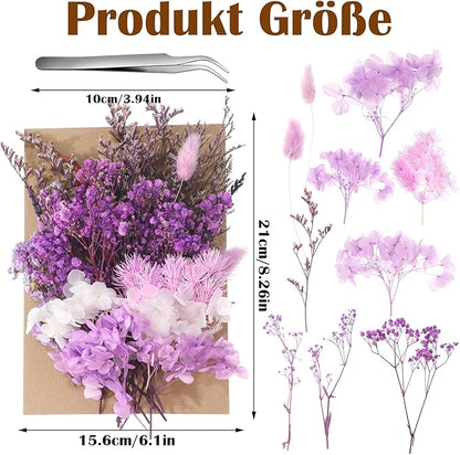 Real Dried Flowers, Natural Dry Flowers Mixed Natural Pressed Flowers Flores Secas Dried Florals for Crafts,Resin,Candle Making (Purple)
