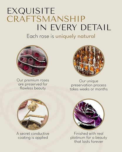 Forever Rose Real 2-Tone Purple Rose with Platinum Trimmed Petals and Platinum Stem, Handcrafted Preserved Rose in Luxury Gold Gift Box, Romantic Gift for Her, Elegant Gift for Any Occasion