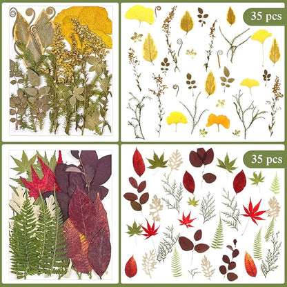 Nuanchu 167 Pcs Real Dried Pressed Flowers Natural Dried Flowers Colorful Daisy Mixed Wildflowers Leave for DIY Candle Resin Nails Jewelry Pendant Crafts Floral Art(Green,Fresh Style)