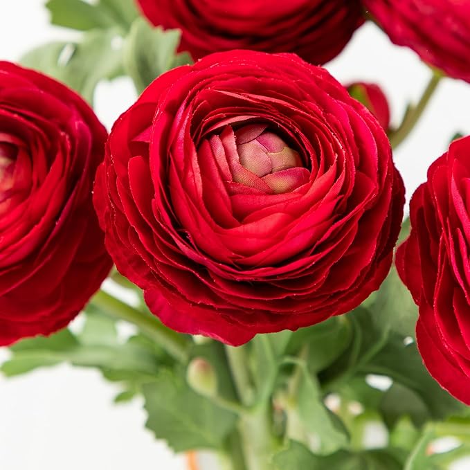 Artificial Ranunculus Flowers with Real Touch Stem, Silk Ranunculus Flowers(10 Pack) (Red)