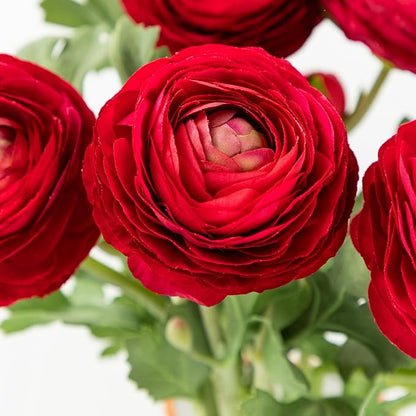 Artificial Ranunculus Flowers with Real Touch Stem, Silk Ranunculus Flowers(10 Pack) (Red)