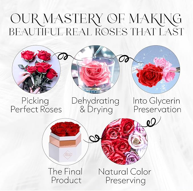 GLAMOUR BOUTIQUE Eternal Preserved Roses in a Box - Flowers Forever, Rose Forever in a Box for Wife, Birthday Gifts for Her, Single Rose, Red