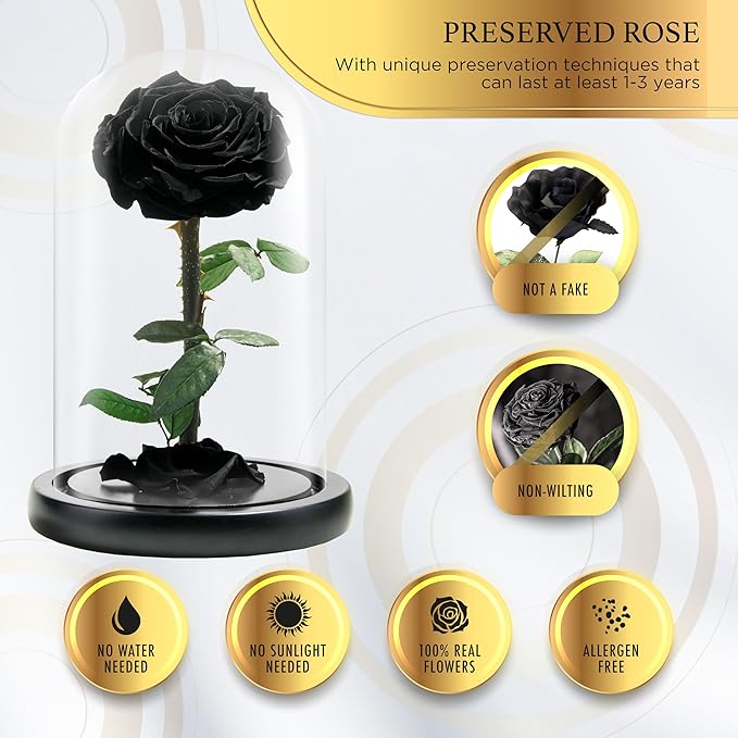 Forever Preserved Rose - Eternal Rose in Glass Dome - Beauty and The Beast Rose for Mom - Fresh Flowers (Black, 9 inch)