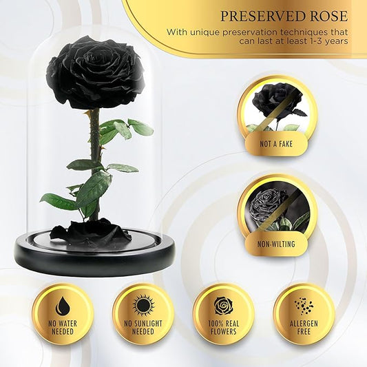 Forever Preserved Rose - Eternal Rose in Glass Dome - Beauty and The Beast Rose for Mom - Fresh Flowers (Black, 9 inch)