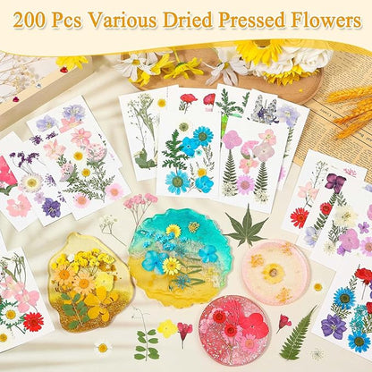 200 Pcs Dried Pressed Flowers for Crafts, 20 Sheets Real Dry Florals and Leaves Bulk with Tweezer for Resin Molds Candle Soap Making Scrapbook Bookmarks Frames Supplies Kit Nail Art Makeup Decor