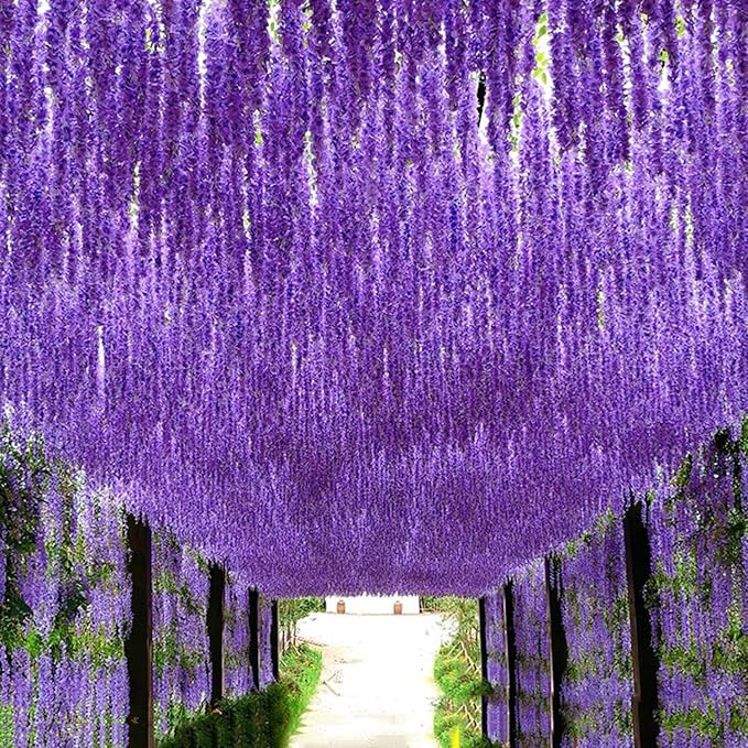 Artificial Wisteria Hanging Flowers-Fake Wisteria Flower Garland Silk Vines Rattan Decor for Home Wedding Arch Wall Garden Greenery Bedroom Outdoor Office Party Decoration (24, Purple)