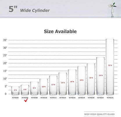 WGV Cylinder Vase, Diameter 5", Height 6", Clear Glass Floral Planter Container, Floating Candle Holder for Wedding Party Event Home Office Decor, 1 Piece