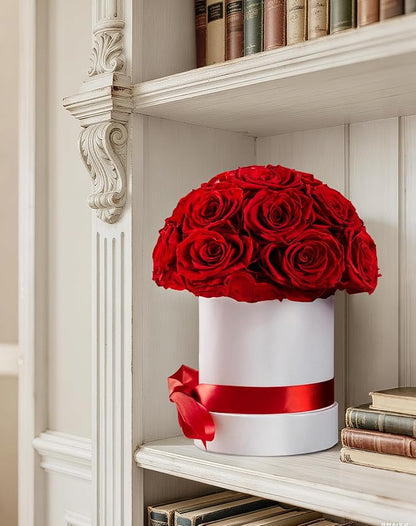 Preserved Roses Dome in a Box, Forever Real Roses Decor, Eternal Flowers for Delivery Prime, Best Gifts Birthday, Wedding, Anniversary, Mother's Day, Christmas for Her, 18-Pieces (Red)