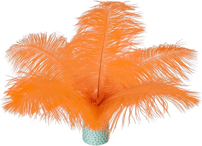 Piokio 20 pcs Orange Ostrich Feathers Plumes 6-8 inch(15-20 cm) Bulk for DIY Handmade Artwork and DIY Clothes, Feather Pens, Dream Catcher, Table Decoration.