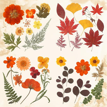 Augshy Fall Dried Pressed Flowers,100 Pcs Autumn Dried Flowers Leaves for Resin Molds Real Pressed Flowers for Crafts DIY Jewelry Molds, Scrapbooking, Candle