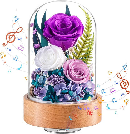 Eterfield Flowers for Delivery Prime, Christmas Preserved Roses Gifts for Women - Forever Flower in Glass Dome Birthday Gifts for Mom Wife Grandma Her Valentine’s Day (Purple, Cylindrical)