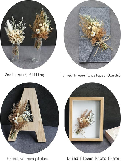 Miniature dried flower bouquet set (12 pcs), small bouquets, gift bags of dried flowers, bridesmaids flower girl proposal gift boxes, groomsmen boutonnieres, shooting props (Brown)
