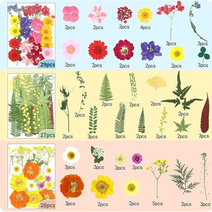 210 Pcs Dried Pressed Flowers for Resin, Dried Pressed Flowers for Crafts, Bulk Natural Dried Flowers Kit with DlY Butterfly Stickers&Tweezers for Resin Molds, Candles, Soap,Jewelry Making, Art Crafts
