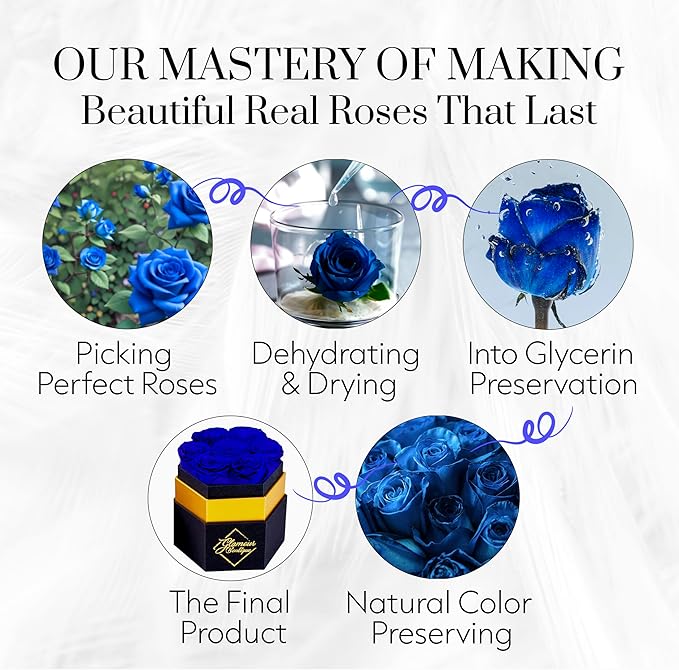 GLAMOUR BOUTIQUE Eternal Preserved Roses in a Box - Flowers Forever, Rose Forever in a Box for Wife, Birthday Gifts for Her, 7 Roses, Blue