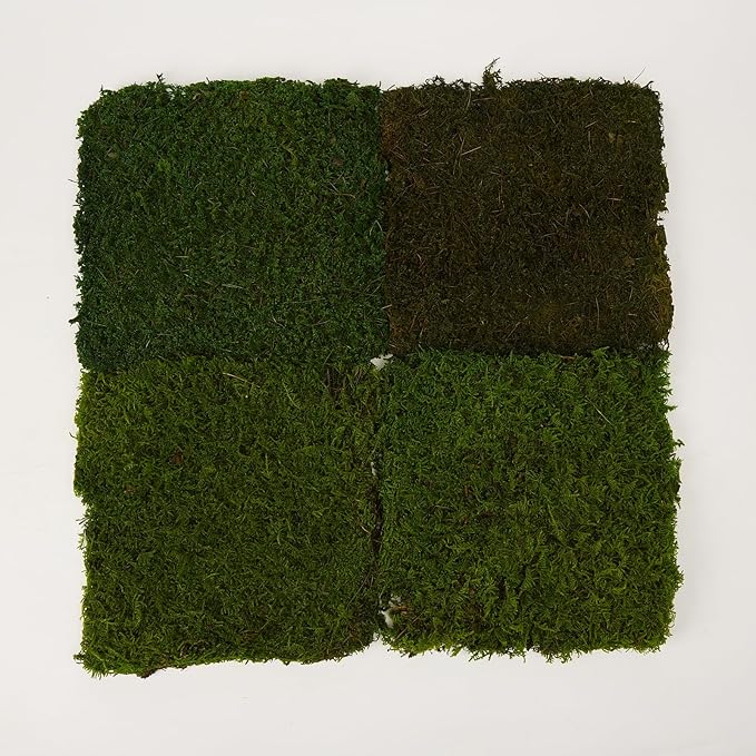 Preserved Sheet Moss Natural Green Decorative Real Natural Green DIY Kit Gardenning Art Wall Decor Florist Decor Easter Table Decor Wedding(4 sq.ft.) (Green-A,Green-B,Green-C)