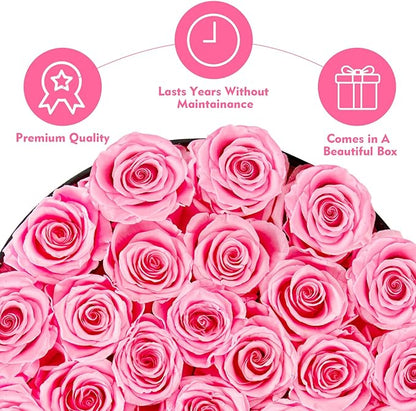 Forever Flowers, 27 Roses in A Box, Real Preserved Roses, Birthday Gift for Women, Anniversary, Mother's Day - Pink Rose