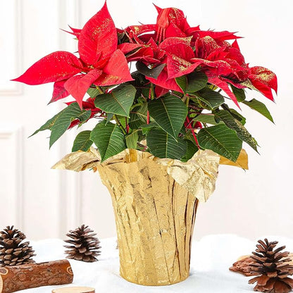 Iceyyyy 10 Yard Christmas Plant Pot Floral Foil, Matte Texture Floral Foil Plant Pot Covers, Golden Florals Foils Wrapping Paper for Home Garden Pots Vases DIY Decoration