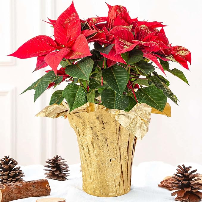 Iceyyyy 2 Roll 10 Yard Christmas Plant Pot Floral Foil, Matte Texture Floral Foil Plant Pot Covers, Golden Florals Foils Wrapping Paper for Home Garden Pots Vases DIY Decoration