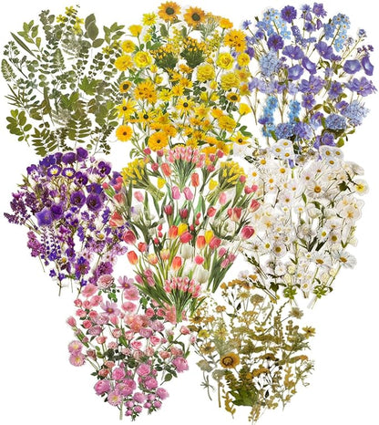 320 Pieces Pressed Flower Themed Stickers Set Floral Elements Transparent Natural Flower Stickers for Scrapbooking Junk Journal Planner Laptops