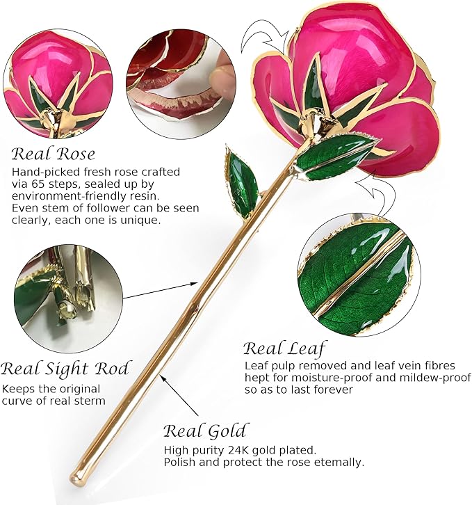 Sinvitron Gold Dipped Infinity Rose Forever Flower Decor, Resin Preserved Real Rose Birthday Gift for Women, Anniversary Present for Mom (Rose Red)