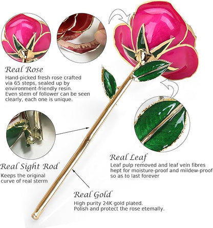 Sinvitron Gold Dipped Infinity Rose Forever Flower Decor, Resin Preserved Real Rose Birthday Gift for Women, Anniversary Present for Mom (Rose Red)