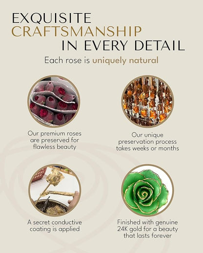 Forever Rose Hand-Dipped in 24K Gold, Peridot-Inspired August Birthstone with Sparkles, Real Rose in Leather Case with LED Light – Perfect Ready to Gift for August Birthday or Any Occasion