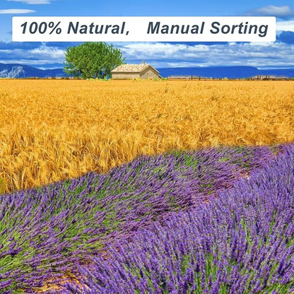 Dried Lavender & Wheat Flowers Bundle - 17'' Real Fresh Preserved Lavender Flowers and White Wheat Plants Bouquet Hand Tied Fall Wedding, Fragrance Home Vase Decor, Bohemian Arrangements, 2 Bundles