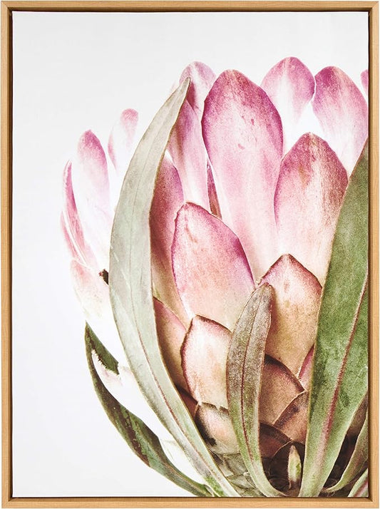 Kate and Laurel Sylvie Pink Protea Flower Framed Canvas Wall Art by Amy Peterson, 28x38 Natural