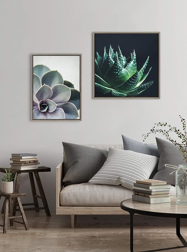 Kate and Laurel Sylvie Succulent 5 Framed Canvas by F2 Images, 18x24 Gray