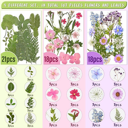 Nuanchu 167 Pcs Real Dried Pressed Flowers Natural Dried Flowers Colorful Daisy Mixed Wildflowers Leave for DIY Candle Resin Nails Jewelry Pendant Crafts Floral Art (Multicolor,Lovely Style)