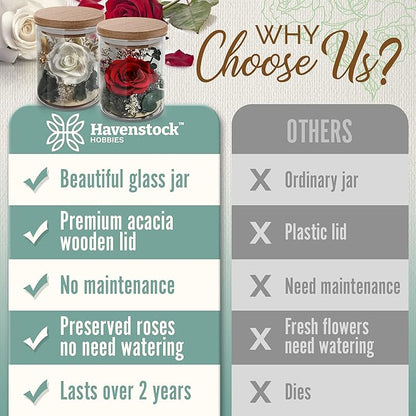 Red Rose in a Glass Dome - Premium Real Roses that Last a Year or More - Mother's Day Unique Gifts For Her Preserved Roses - Forever Flower Decor Preserved Flowers - Eternal Rose Display