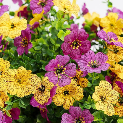 Artificial Flowers for Outdoors 6PCS，All Weather Fade Proof, UV Resistant Waterproof Realistic Faux Silk Mums Daisies Purple & Yellow for Hanging Planters Porch Patio Balcony Deck Fence Garden Decor