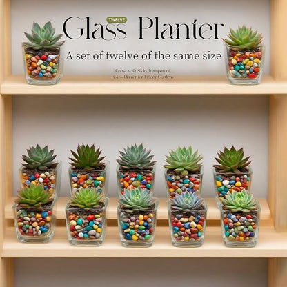 12pcs Square Glass Vases for Centerpieces, 3.15" Clear Short Glass Vase Cube Plant Terrarium, Candle Holder for Wedding Centerpiece, Office Decorations, Home Décor, Parties