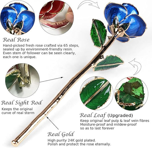 Sinvitron Gold Dipped Infinity Rose Forever Flower Decor, Resin Preserved Real Rose Birthday Gift for Women, Anniversary Present for Mom (Deep Blue)