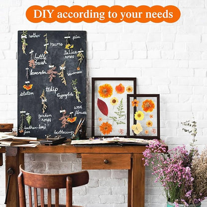 Nuanchu 167 Pcs Real Dried Pressed Flowers Natural Dried Flowers Colorful Daisy Mixed Wildflowers Leave for DIY Candle Resin Nails Jewelry Pendant Crafts Floral Art(Yellow,Bright Style)