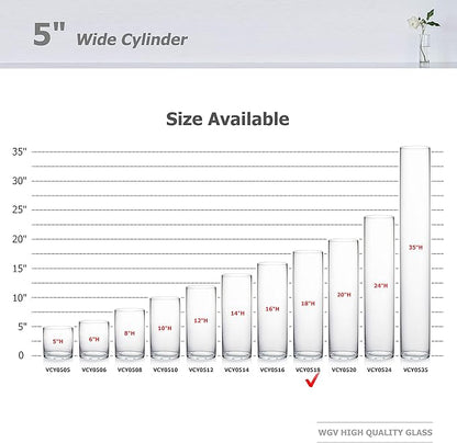 WGV Cylinder Vase Bulk, Diameter 5", Height 18", Clear Glass Floral Planter Container, Tall Centerpiece Arrangement for Wedding Party Event Home Office Decor, 6 Pieces