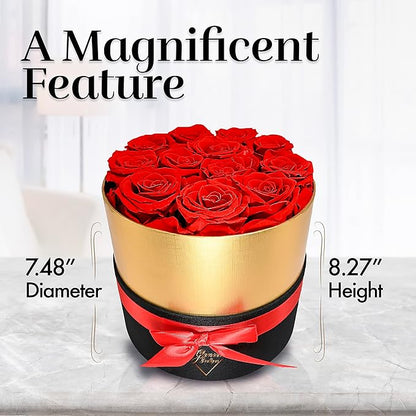 GLAMOUR BOUTIQUE Eternal Preserved Roses in a Box - Flowers Forever, Rose Forever in a Box for Wife, Birthday Gifts for Her, 12 Roses, Red