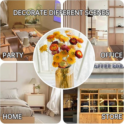 Dried Flowers Natural Daisy Mums Flower - 20 Stems Multicolor Daisies Artificial Sunflowers, Dry Fall Orange Flowers Bouquets for Vase, Wedding Home Farmhouse Decor, DIY Table Centerpiece Decoration