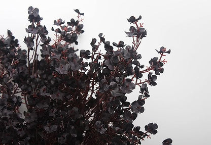 JAKY-Global Babys Breath Silk Artificial Flowers Bulk with Vase 10pcs for Fall Decor Fake Flower Bouquet Bulk for Home Kitchen Indoor Bouquet Floral Arrangement Table Centerpieces Party Decor(Black)