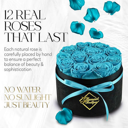 GLAMOUR BOUTIQUE Flowers Forever Gift Box 12 Real Preserved Roses in a Velvet Box, Birthday for Her Mom and Wife, Mothers Day, Anniversary, Graduation - Teal