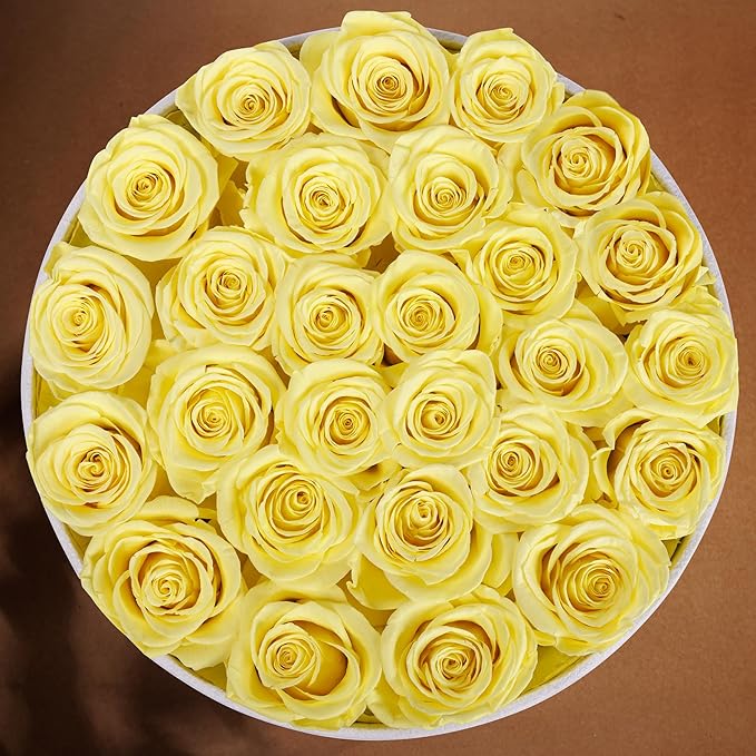 27 Roses in a Luxury Suede Box, Mother Day Flowers Gifts for Mom, Preserved Flowers for Her, Birthday Gifts for Women, Yellow