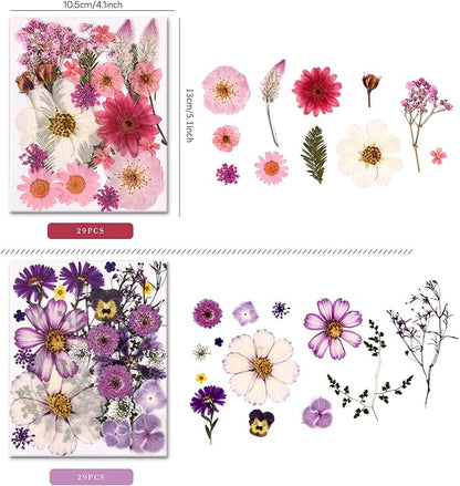 5 Packs of 140 Pressed Dried Flowers and Leaves Real Natural Dried Flowers with Tweezers for DIY Crafts, Resin Jewelry, Card Making, Soap, Candles, Nail Art, and Scrapbooking (5 Colors)