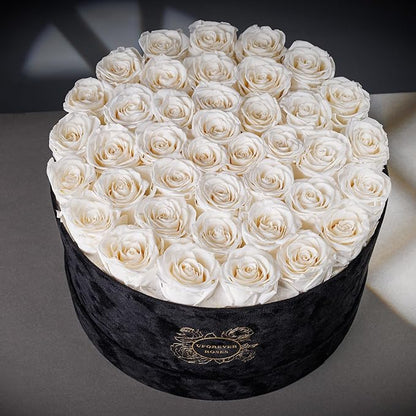 40 Pieces Preserved Roses in Suede Box, Flowers for Mothers Day, Preserved Flowers Gift for Women, White