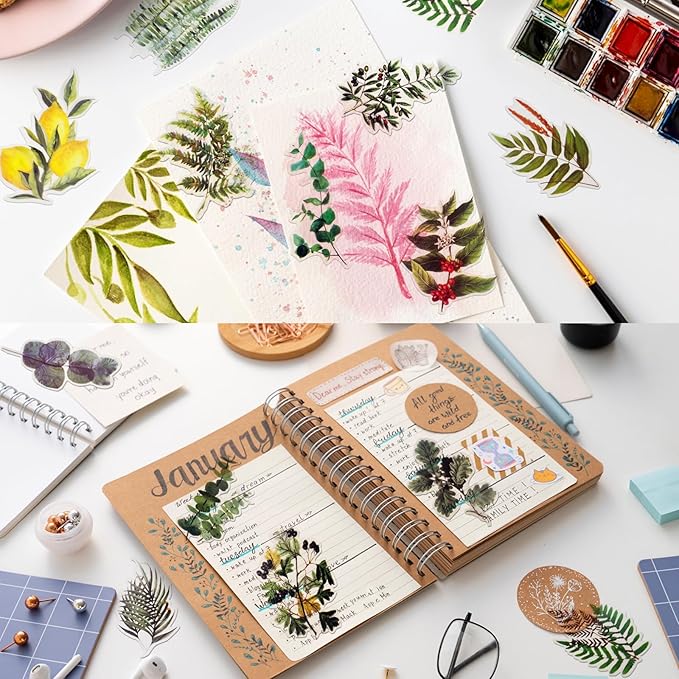 Natural PET Flower Stickers for Scrapbooking - Vintage Nature Plant Craft Decals, Colorful Small Floral for Journaling (Style B)